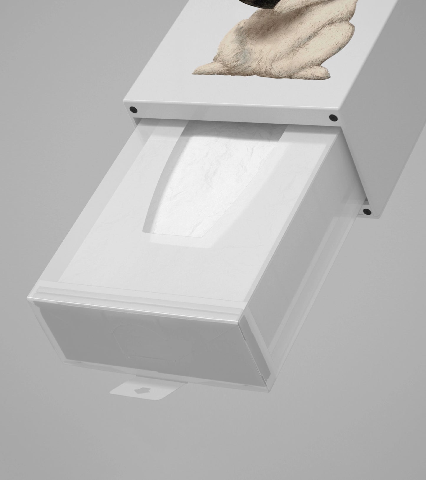 Tissue Up Tale Wonder rabbit