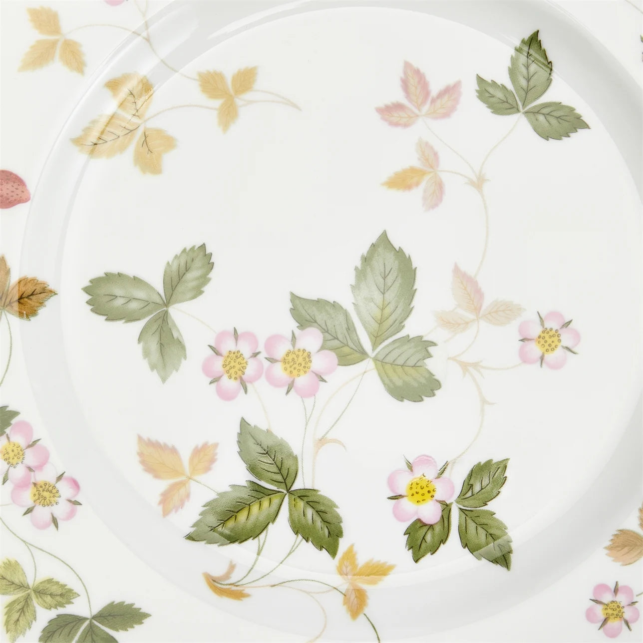 Dinner Plate