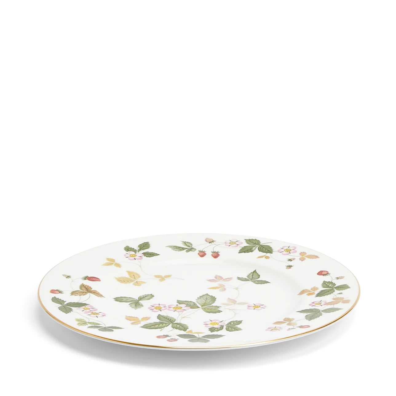 Dinner Plate