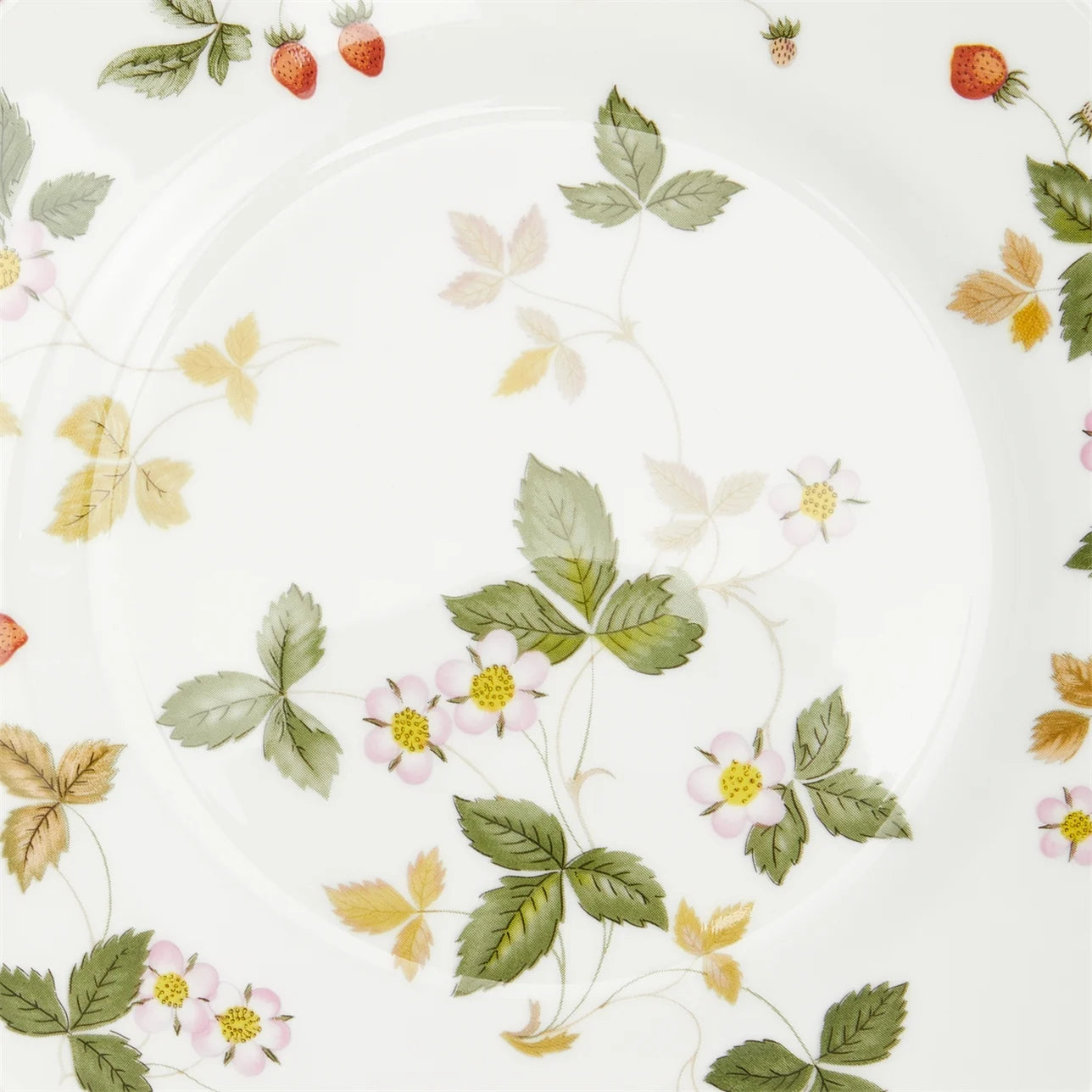 Salad Plate