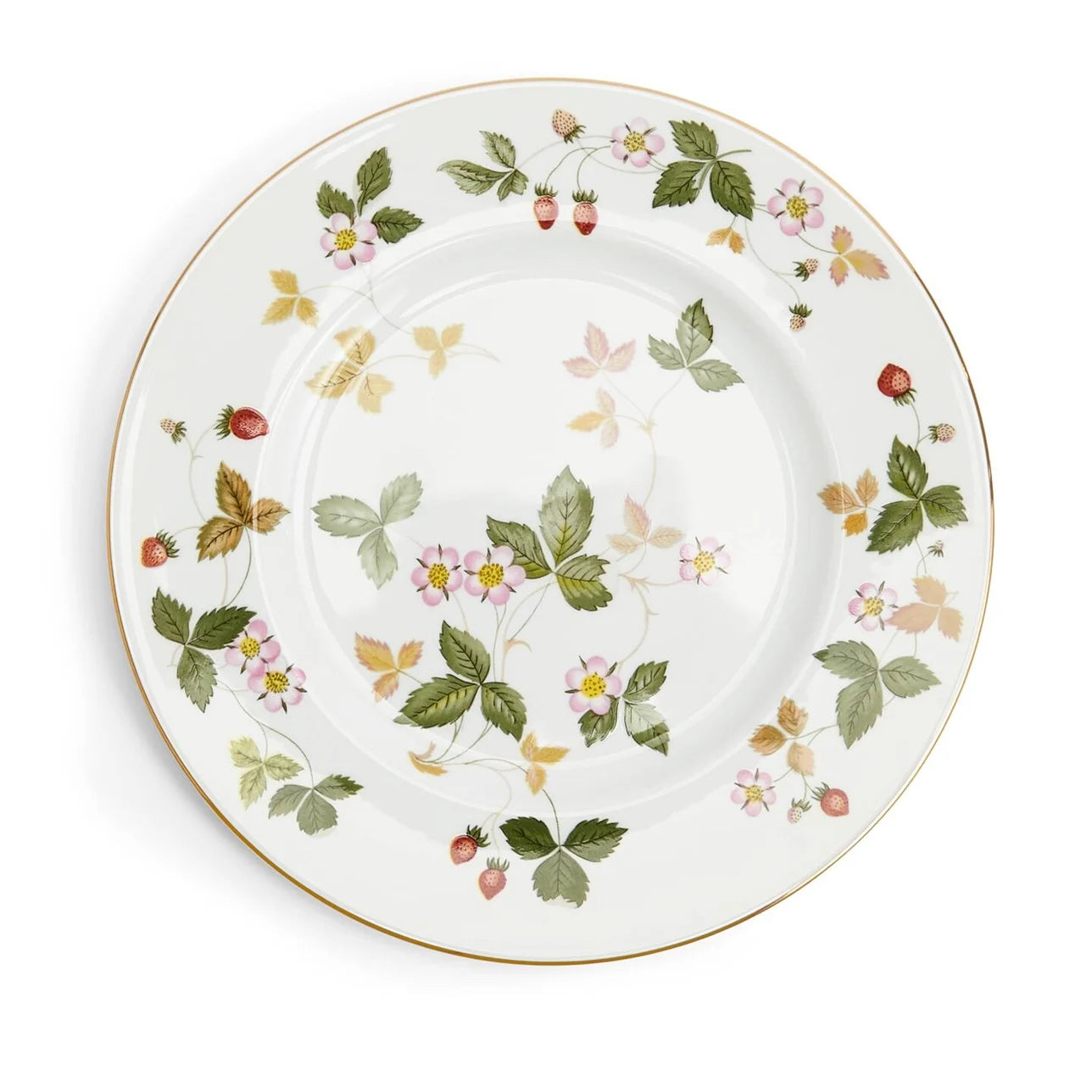 Dinner Plate